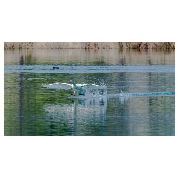 PHOTO84, CLUB, 84 , LUBERON